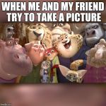 Zootopia2 | WHEN ME AND MY FRIEND TRY TO TAKE A PICTURE | image tagged in zootopia2 | made w/ Imgflip meme maker