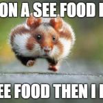 Hamster | I'M ON A SEE FOOD DIET; I SEE FOOD THEN I EAT. | image tagged in hamster | made w/ Imgflip meme maker