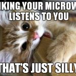 That's just silly cat | THINKING YOUR MICROWAVE LISTENS TO YOU; THAT'S JUST SILLY | image tagged in that's just silly cat | made w/ Imgflip meme maker