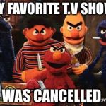 sesame street | MY FAVORITE T.V SHOW; WAS CANCELLED | image tagged in sesame street | made w/ Imgflip meme maker