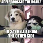 Bad Pun Puppy | HEY, DO YOU KNOW WHY ADELE CROSSED THE ROAD? TO SAY HELLO FROM THE OTHER SIDE | image tagged in bad pun puppy | made w/ Imgflip meme maker