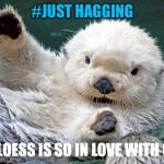 otterside | #JUST HAGGING; #MS.KLOESS IS SO IN LOVE WITH OTTERS | image tagged in otterside | made w/ Imgflip meme maker