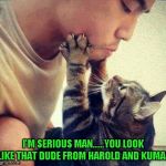 He really does look like John Cho!!! | I'M SERIOUS MAN......YOU LOOK LIKE THAT DUDE FROM HAROLD AND KUMAR | image tagged in look at me,memes,funny,cats,animals,funny cats | made w/ Imgflip meme maker