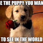 ...Think Of The Puppies | BE THE PUPPY YOU WANT; TO SEE IN THE WORLD | image tagged in think of the puppies | made w/ Imgflip meme maker