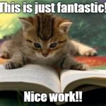 Kitten reading | This is just fantastic! Nice work!! | image tagged in kitten reading | made w/ Imgflip meme maker