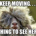 bad hair | KEEP MOVING. . . NOTHING TO SEE HERE. . . | image tagged in bad hair | made w/ Imgflip meme maker