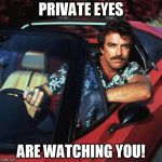 Magnum PI is watching you Hall & Oates | PRIVATE EYES; ARE WATCHING YOU! | image tagged in magnum pi,hall and oates | made w/ Imgflip meme maker