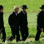 amish 1