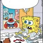 sponge wash