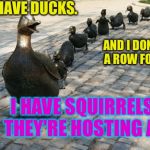 :D | I DON'T HAVE DUCKS. AND I DON'T HAVE A ROW FOR THEM. I HAVE SQUIRRELS. AND THEY'RE HOSTING A RAVE. | image tagged in ducks in a row,memes | made w/ Imgflip meme maker