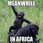 Gorilla waving | MEANWHILE; IN AFRICA | image tagged in gorilla waving | made w/ Imgflip meme maker