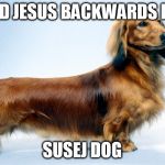 Dog | GOD JESUS BACKWARDS IS... SUSEJ DOG | image tagged in dog | made w/ Imgflip meme maker