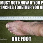 Common Sense | HE MUST NOT KNOW IF YOU PUT 12 INCHES TOGETHER YOU GET; ONE FOOT | image tagged in one foot,funny,memes,animals,rainbow,truth | made w/ Imgflip meme maker