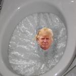 ToiletTrump