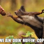 Squirrel reaching for nut | WE AIN' DOIN' NUFFIN', COP! | image tagged in squirrel reaching for nut | made w/ Imgflip meme maker