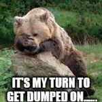 Bear Facepalm | IT'S MY TURN TO GET DUMPED ON...... | image tagged in bear facepalm | made w/ Imgflip meme maker