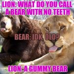 unlikely friends | LION: WHAT DO YOU CALL A BEAR WITH NO TEETH; BEAR: IDK, OLD? LION: A GUMMY BEAR | image tagged in unlikely friends | made w/ Imgflip meme maker