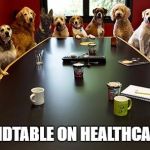 Dog Round Table | TRUMP ROUNDTABLE ON HEALTHCARE FOR CATS | image tagged in dog round table | made w/ Imgflip meme maker