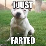 Dog memes | I JUST; FARTED | image tagged in dog memes | made w/ Imgflip meme maker