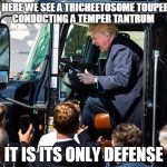 Trumpy Trump | AND HERE WE SEE A TRICHEETOSOME TOUPEEFER; CONDUCTING A TEMPER TANTRUM; IT IS ITS ONLY DEFENSE | image tagged in trumpy trump,prez cheeto,president trump | made w/ Imgflip meme maker