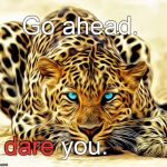 Call me "Grumpy" one more time. See what happens.  Go on, just one more time. Please? | Go ahead. I dare you. dare | image tagged in big cat,damned big cat,i dare you | made w/ Imgflip meme maker