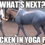 A horse in yoga pants | WHAT'S NEXT? A CHICKEN IN YOGA PANTS | image tagged in a horse in yoga pants | made w/ Imgflip meme maker