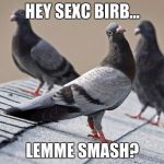 Lemme Smash? | HEY SEXC BIRB... LEMME SMASH? | image tagged in lemme smash | made w/ Imgflip meme maker