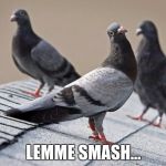 Lemme Smash? | LEMME SMASH... | image tagged in lemme smash | made w/ Imgflip meme maker