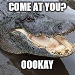 Alligator Wut | COME AT YOU? OOOKAY | image tagged in alligator wut | made w/ Imgflip meme maker