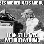 Poet dog | ROSES ARE RED, CATS ARE DUMB; I CAN STILL TYPE WITHOUT A THUMB | image tagged in poet dog | made w/ Imgflip meme maker