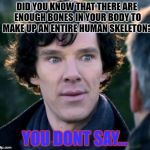 You don't say? - Sherlock | DID YOU KNOW THAT THERE ARE ENOUGH BONES IN YOUR BODY TO MAKE UP AN ENTIRE HUMAN SKELETON? YOU DONT SAY... | image tagged in you don't say - sherlock,funny | made w/ Imgflip meme maker