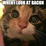 Why can't someone look at me like that? | WHEN I LOOK AT BACON | image tagged in cat love,bacon,love | made w/ Imgflip meme maker
