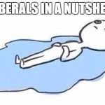 Tears | LIBERALS IN A NUTSHELL | image tagged in tears | made w/ Imgflip meme maker