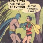 Lying Batballs Robin! | DON'T YOU SEE TRUMP IS LYING?! BUT HE PROMISED A WALL.. | image tagged in batman,robin | made w/ Imgflip meme maker
