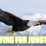 Soaring eagle | PRAYING FOR JUNCTION | image tagged in soaring eagle | made w/ Imgflip meme maker