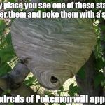 Sound advice from 10 Guy.  | Any place you see one of these stand under them and poke them with a stick. Hundreds of Pokemon will appear. | image tagged in wasp hive,funny meme,pokemon | made w/ Imgflip meme maker