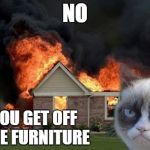 Got insurance? ;-) | NO; YOU GET OFF THE FURNITURE | image tagged in memes,burn kitty,grumpy cat,furniture,your argument is invalid,last words | made w/ Imgflip meme maker
