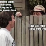Home Improvement Tim and Wilson (actual exchange on the show) | Hey Wilson, thanks for the bees.  I'll pay you for them as soon as I can. That's all right, Tim.   Those were free bees. | image tagged in home improvement tim and wilson,bad puns,bees | made w/ Imgflip meme maker