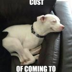 Sleeping Dog | THIS IS THE OPPORTUNITY COST; OF COMING TO AP MACRO CLASS | image tagged in sleeping dog | made w/ Imgflip meme maker