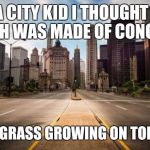 Anybody else used to think this? | AS A CITY KID I THOUGHT THE EARTH WAS MADE OF CONCRETE; WITH GRASS GROWING ON TOP OF IT | image tagged in concrete | made w/ Imgflip meme maker