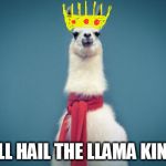 Smart Llama | ALL HAIL THE LLAMA KING | image tagged in smart llama | made w/ Imgflip meme maker
