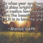 Sunlight | "Only when your eye, heart and soul shine brighter than the sun, you realize how ordinary it is to love the beautiful, and how beautiful it is to love the ordinary.”; ~Marius Vieth | image tagged in marius vieth,beauty,ordinary,grass,nature,soul | made w/ Imgflip meme maker