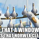 BIRDS | IS THAT A WINDOW? OR IS THAT NORWEX CLEAN? | image tagged in birds | made w/ Imgflip meme maker
