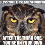 I have a two sneeze limit. | I'LL BLESS YOUR FIRST AND SECOND SNEEZE; AFTER THE THIRD ONE, YOU'RE ON YOUR OWN | image tagged in angry owl | made w/ Imgflip meme maker