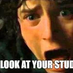 College | WHEN YOU LOOK AT YOUR STUDENT LOANS | image tagged in frodo - noo edited to size,college,student loans,debt | made w/ Imgflip meme maker