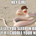 Snakememe | HEY GIRL; I'LL LET YOU SLEEP IN BUT ONLY IF I CUDDLE YOUR NECK | image tagged in snakememe,scumbag | made w/ Imgflip meme maker