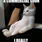 When you really have to go  | I HOPE THEY SHOW A COMMERCIAL SOON; I REALLY HAVE TO PEE | image tagged in relaxed cat,funny memes,cat | made w/ Imgflip meme maker