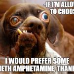 Meth dog | -IF I'M ALLOWED TO CHOOSE, I WOULD PREFER SOME METH AMPHETAMINE, THANKS | image tagged in meth dog | made w/ Imgflip meme maker