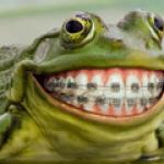 Frog Smile