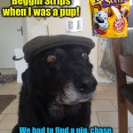 Pups these days have way too easy! | We didn't have Beggin Strips when I was a pup! We had to find a pig, chase the pig, catch it! Do you know how huge of a mess you make after that? | image tagged in old dog,memes,evilmandoevil,funny | made w/ Imgflip meme maker